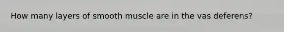 How many layers of smooth muscle are in the vas deferens?