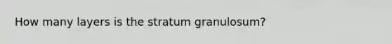 How many layers is the stratum granulosum?