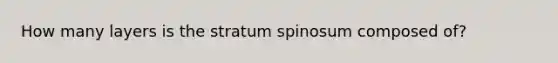 How many layers is the stratum spinosum composed of?