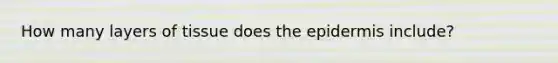 How many layers of tissue does the epidermis include?