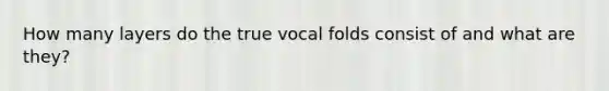 How many layers do the true vocal folds consist of and what are they?