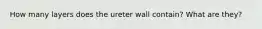 How many layers does the ureter wall contain? What are they?
