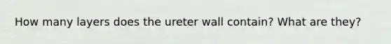 How many layers does the ureter wall contain? What are they?