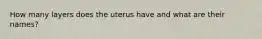 How many layers does the uterus have and what are their names?