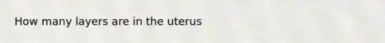 How many layers are in the uterus