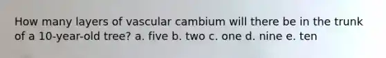 How many layers of vascular cambium will there be in the trunk of a 10-year-old tree? a. five b. two c. one d. nine e. ten