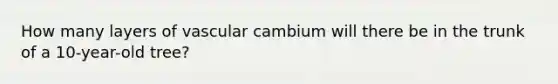 How many layers of vascular cambium will there be in the trunk of a 10-year-old tree?