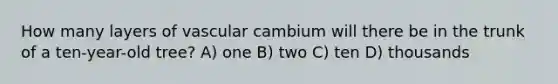 How many layers of vascular cambium will there be in the trunk of a ten-year-old tree? A) one B) two C) ten D) thousands