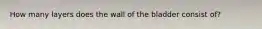 How many layers does the wall of the bladder consist of?