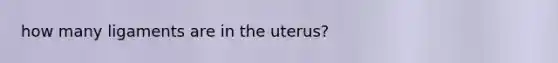 how many ligaments are in the uterus?