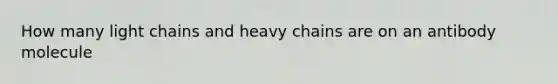 How many light chains and heavy chains are on an antibody molecule