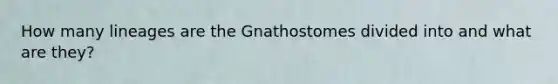 How many lineages are the Gnathostomes divided into and what are they?