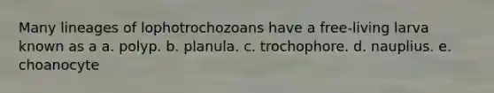 Many lineages of lophotrochozoans have a free-living larva known as a a. polyp. b. planula. c. trochophore. d. nauplius. e. choanocyte