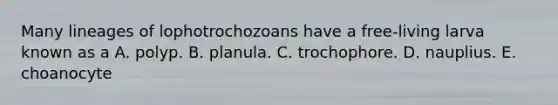 Many lineages of lophotrochozoans have a free-living larva known as a A. polyp. B. planula. C. trochophore. D. nauplius. E. choanocyte