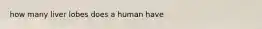 how many liver lobes does a human have