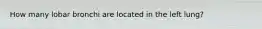 How many lobar bronchi are located in the left lung?