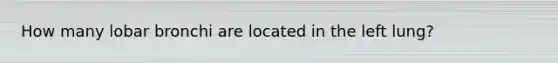 How many lobar bronchi are located in the left lung?