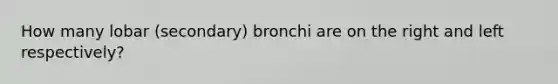 How many lobar (secondary) bronchi are on the right and left respectively?