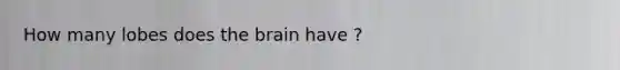 How many lobes does the brain have ?