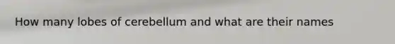 How many lobes of cerebellum and what are their names