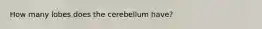 How many lobes does the cerebellum have?