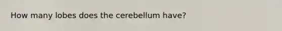 How many lobes does the cerebellum have?