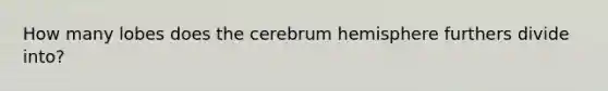 How many lobes does the cerebrum hemisphere furthers divide into?