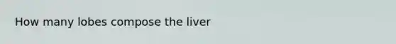 How many lobes compose the liver