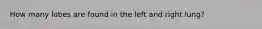 How many lobes are found in the left and right lung?