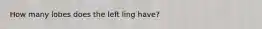 How many lobes does the left ling have?