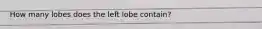 How many lobes does the left lobe contain?