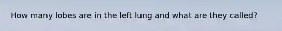 How many lobes are in the left lung and what are they called?