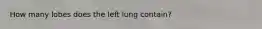 How many lobes does the left lung contain?