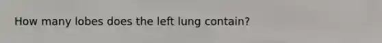 How many lobes does the left lung contain?