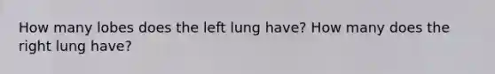 How many lobes does the left lung have? How many does the right lung have?