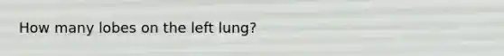 How many lobes on the left lung?