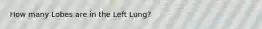 How many Lobes are in the Left Lung?