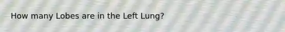 How many Lobes are in the Left Lung?