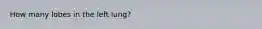 How many lobes in the left lung?