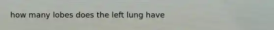 how many lobes does the left lung have