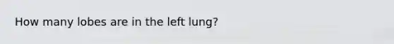 How many lobes are in the left lung?