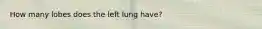 How many lobes does the left lung have?