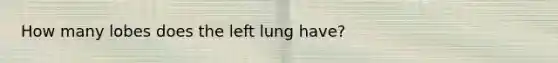 How many lobes does the left lung have?