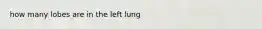 how many lobes are in the left lung