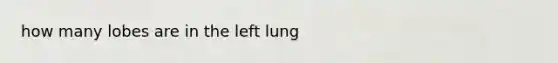 how many lobes are in the left lung