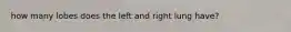 how many lobes does the left and right lung have?