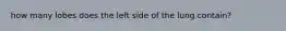 how many lobes does the left side of the lung contain?