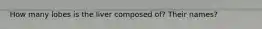 How many lobes is the liver composed of? Their names?