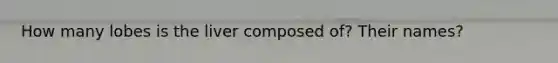 How many lobes is the liver composed of? Their names?