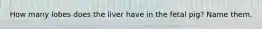 How many lobes does the liver have in the fetal pig? Name them.